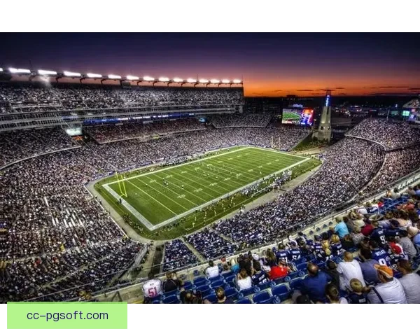 2026世界杯温哥华赛区最新交通规划全攻略发布